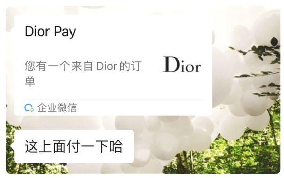 duiya.png duiya.png
